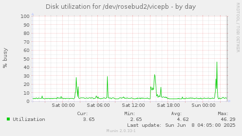 Disk utilization for /dev/rosebud2/vicepb